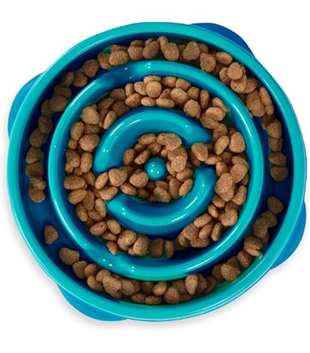 Comedero Perros Lento Las Mejores Ofertas En Perro Silicona Negro Platos, Comederos Y Fuentes | EBay Plato Perro Antivoracidad