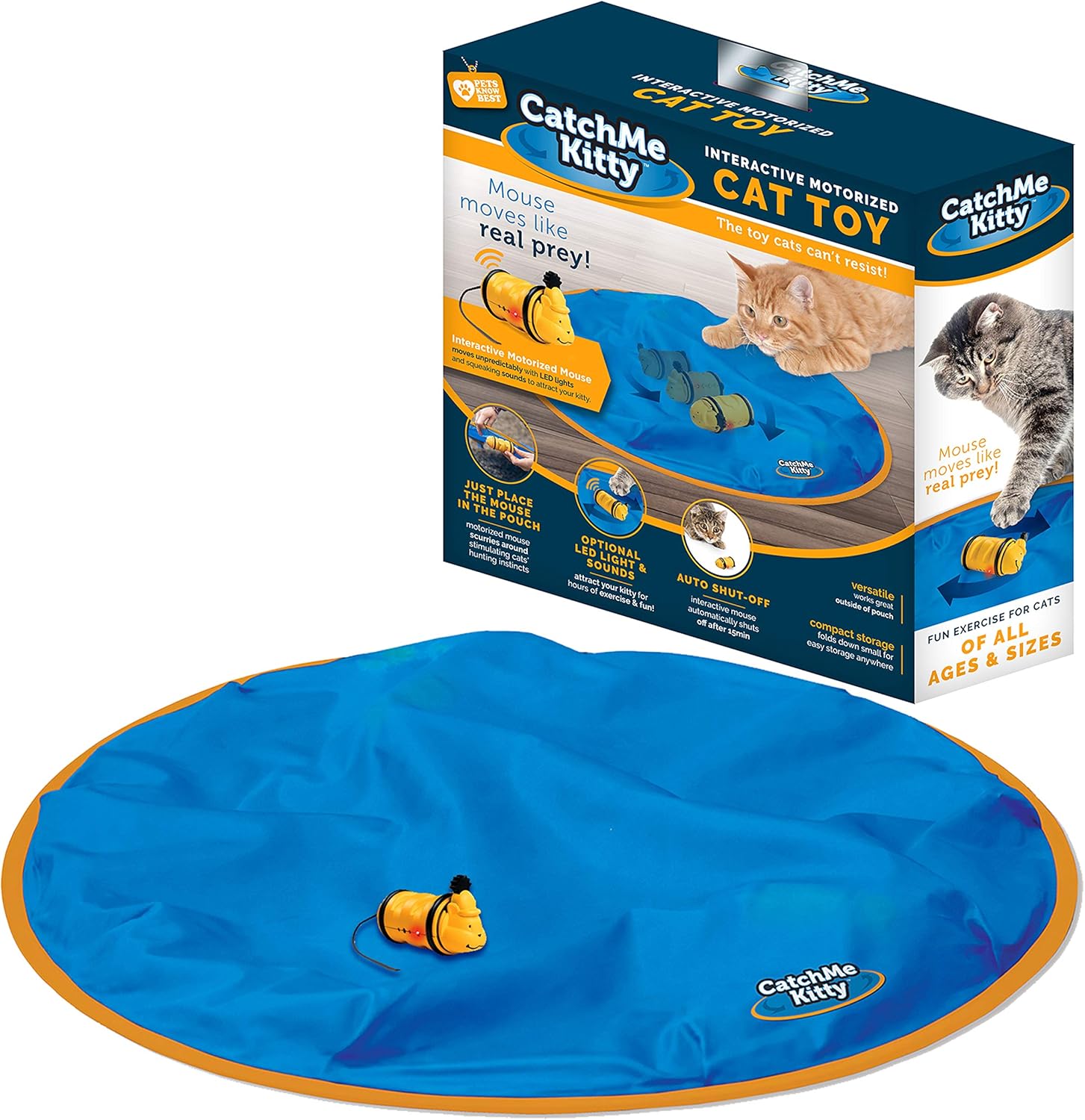 catch me kitty cat toy