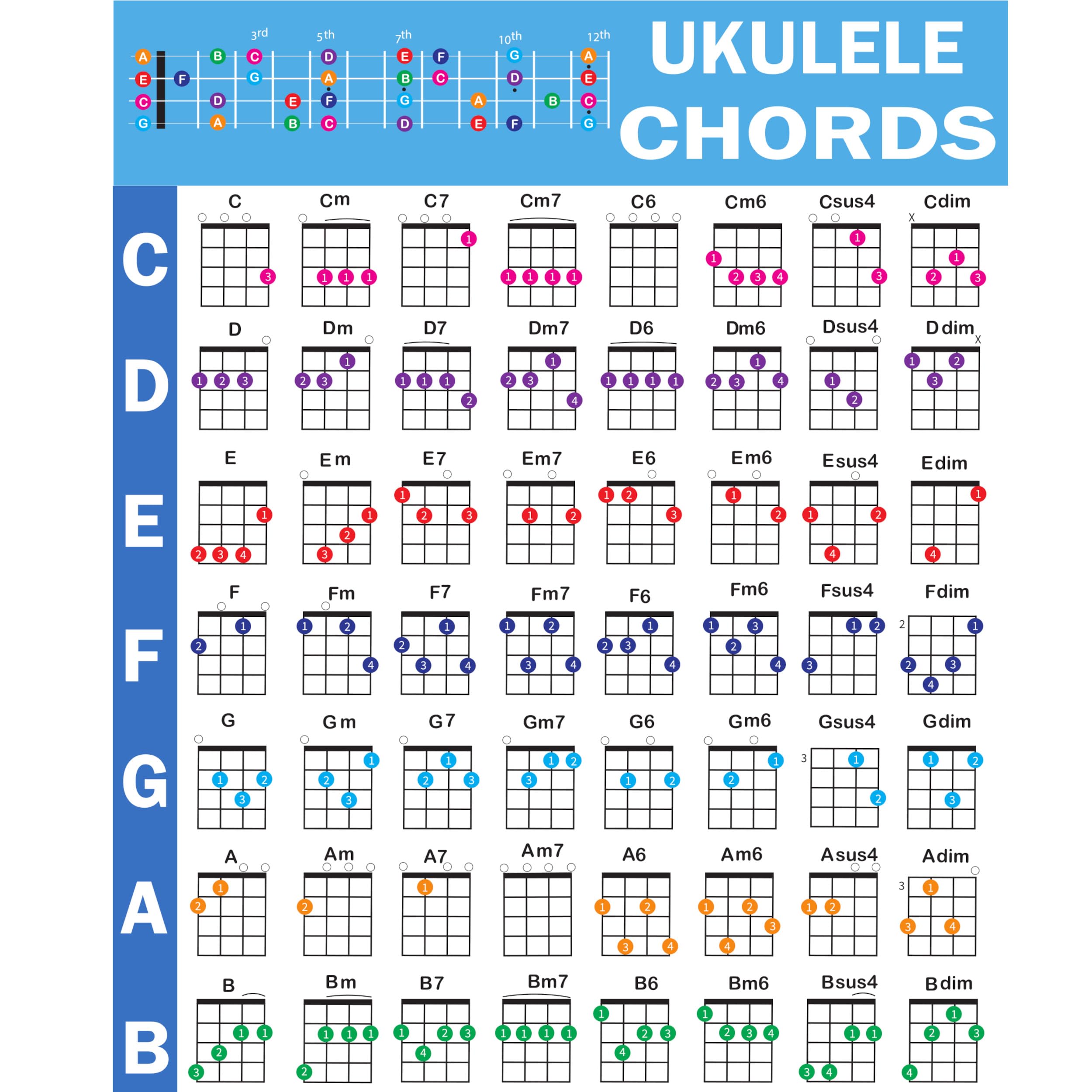 QMG Ukulele Chords Poster Reference Guide for Ukulele Players and Teachers Waterproof Tear Resistant Size 24x30 Inch