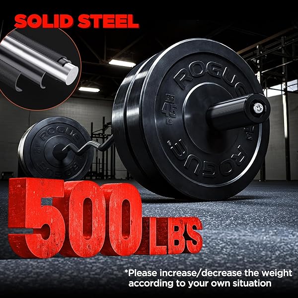 TEEMOO OLYMPIC EZ CURL BARBELL BAR, 47″ CURL BAR WITH 2 SPRING COLLARS, CURLING BAR FOR WEIGHT LIFTING, SQUAT, HIP THRUSTS, BICEPS, 500LB WEIGHT CAPACITY, E-COAT FINISH FOR 2 INCH WEIGHT PLATES (BLACK)