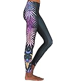 teeki phoenix rising