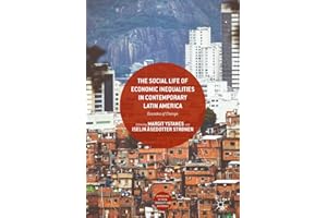 The Social Life of Economic Inequalities in Contemporary Latin America: Decades of Change (Approaches to Social Inequality an