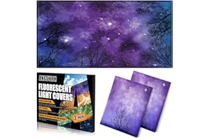 ANGSYLTH 2 Pcs Fluorescent Light Covers - 4 x 2 Feet Covers for Ceiling Lights, Magnetic Light Filters for Classroom, Office, Hospitals, Home