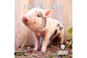 WINDRIO 2025 Wall Calendar,Calendar 2025, November 2024 - December 2025, Wall Calendar Pigs & Piglets, 12" x 24" Opened,Full Page Months Thick & Sturdy Paper for Gift Perfect Calendar Organizing & Planning