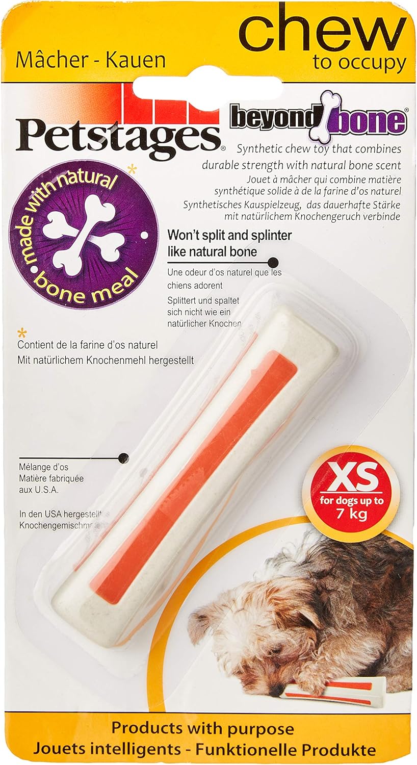 transitional dog leash