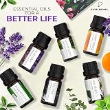 Pure Aroma 100% Pure Essential Oils Kit 6 x 10ml Lavender Tea Tree Eucalyptus view 2