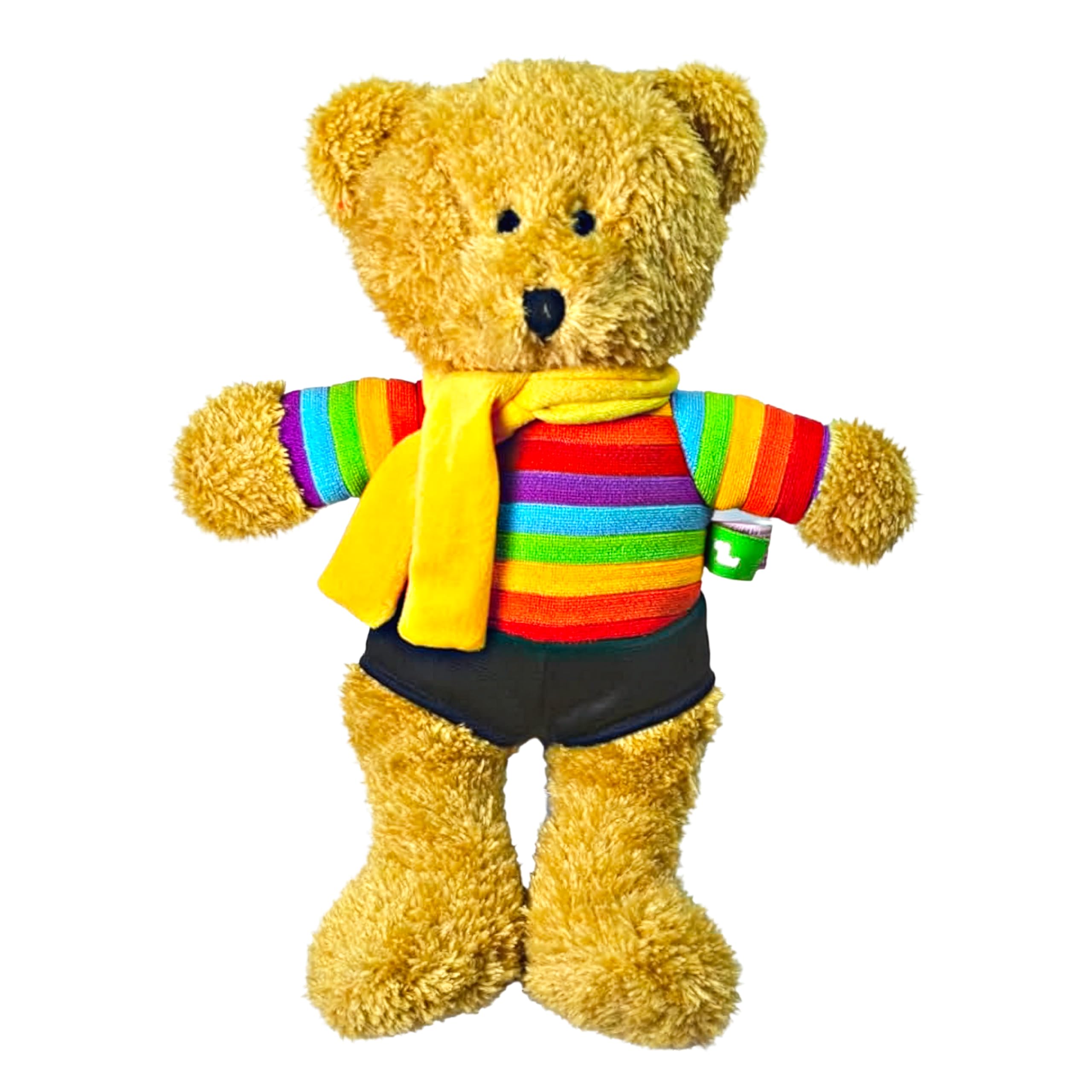 Scarlaroo Plush Teddy Bear Dog Toy – Rainbow Ted for Medium and Large Dogs