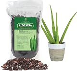 Premium Aloe Vera Potting Soil Mix 1 Liter Bag