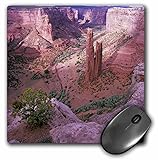 3dRose LLC 8 x 8 x 0.25 Inches Spider Rock Canyon