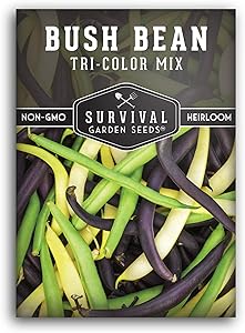 Survival Garden Seeds - Tri-Color Bean Seed for Planting - Packet with Instructions to Plant and Grow in Your Home Vegetable Garden - Non-GMO Heirloom Variety
