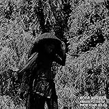 Analog Fluids of Sonic Black Holes