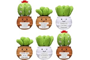 Wavwavw 6 Pcs Employee Appreciation Gifts Thank You Positive Handmade Crochet Doll with Encouraging Card for Coworker Women Men Office Staff(Cactus)