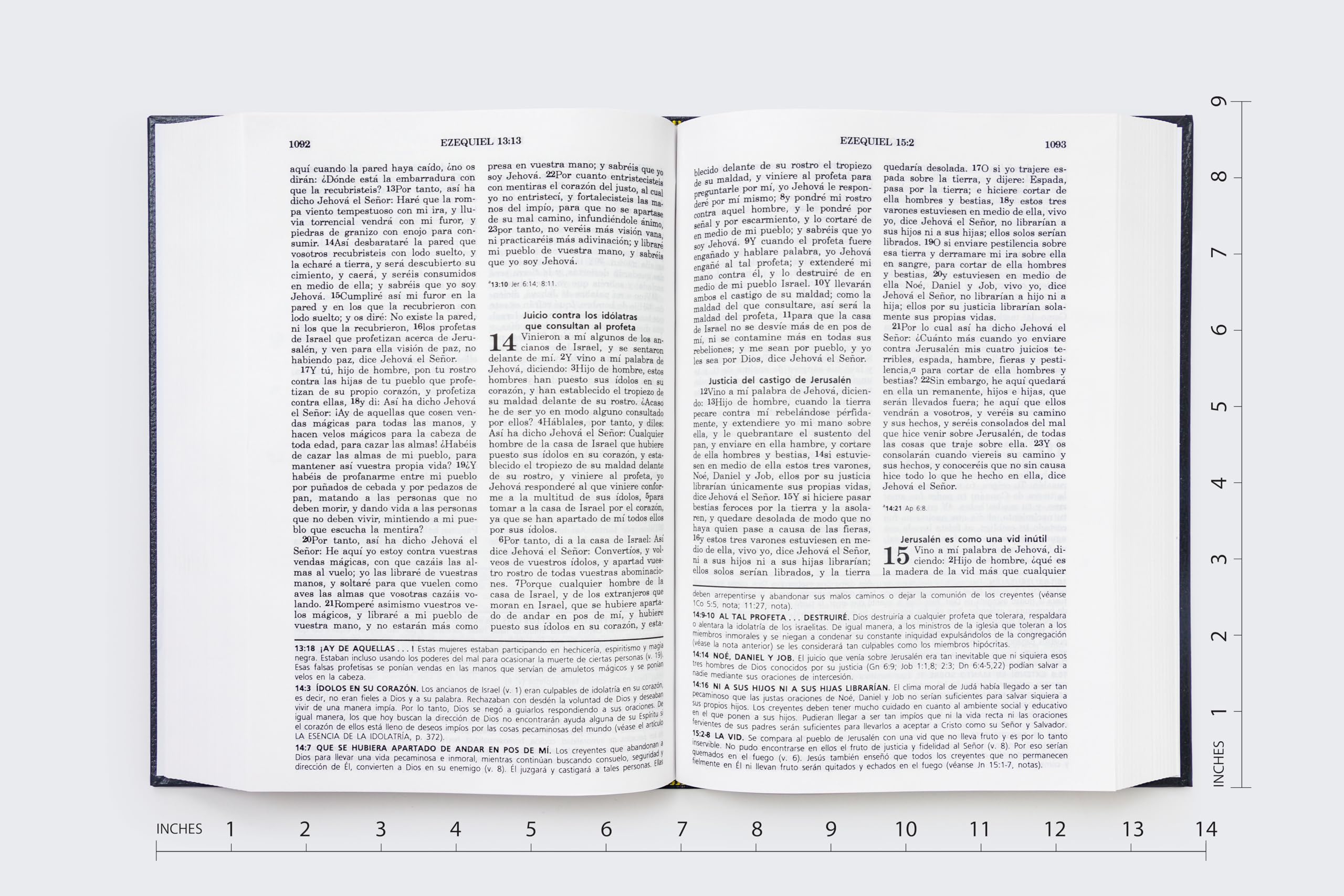 RVR60, Biblia de Estudio de la vida plena, Tapa Dura, Negro RVR60, Biblia de Estudio de la vida plena, Tapa Dura, Negro Hardcover Imitation Leather