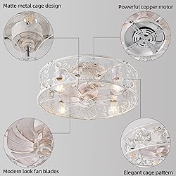 Garwarm 20" Caged Ceiling Fan With Light, Flush