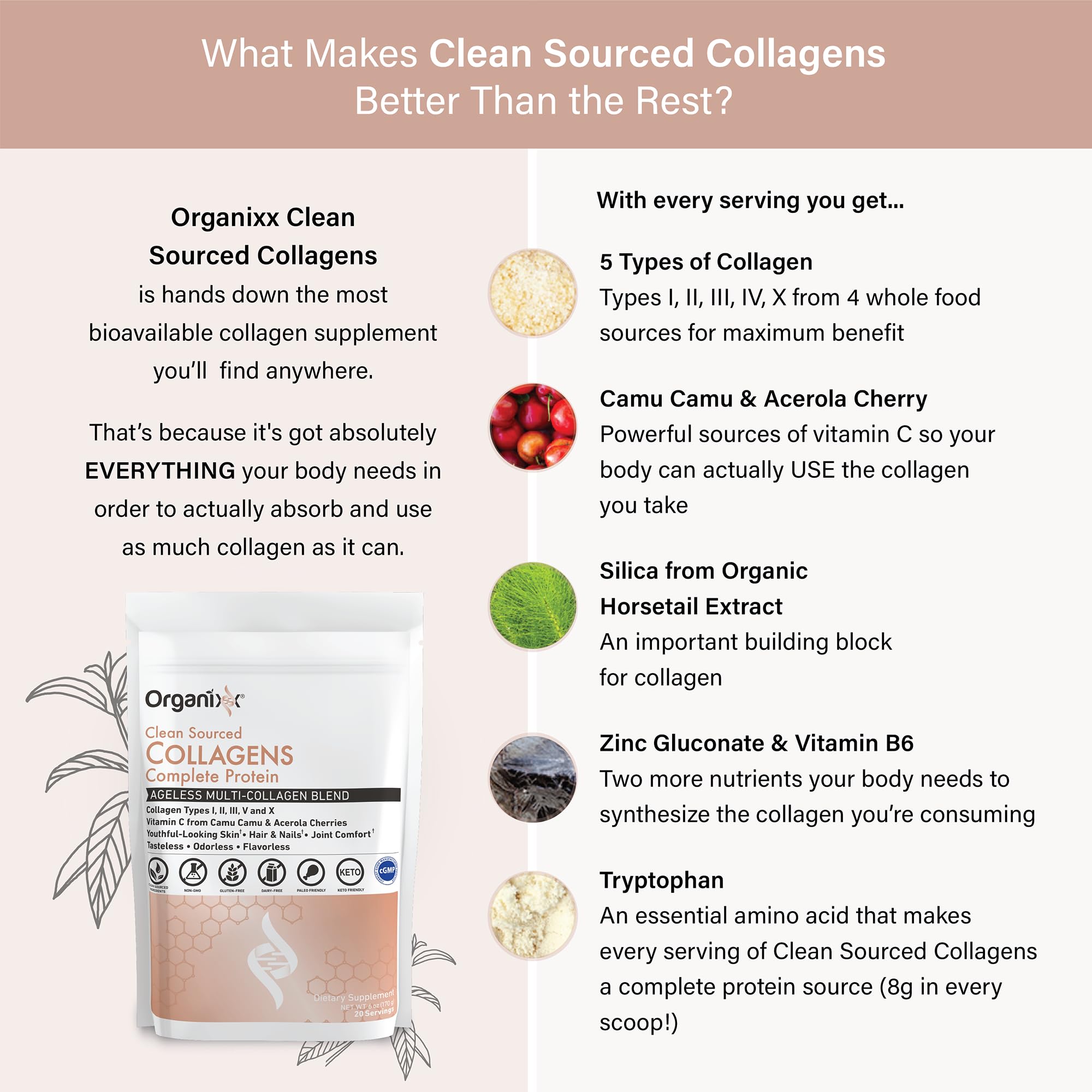 Organixx Collagen Peptides Powder with Vitamin C, Types I, II, III, V, X Hydrolyzed Collagen, Hair, Nail, Skin, Bone & Joint Health, Aging Support, Clean Sourced, Gluten Free, Unflavored, 20 Servings