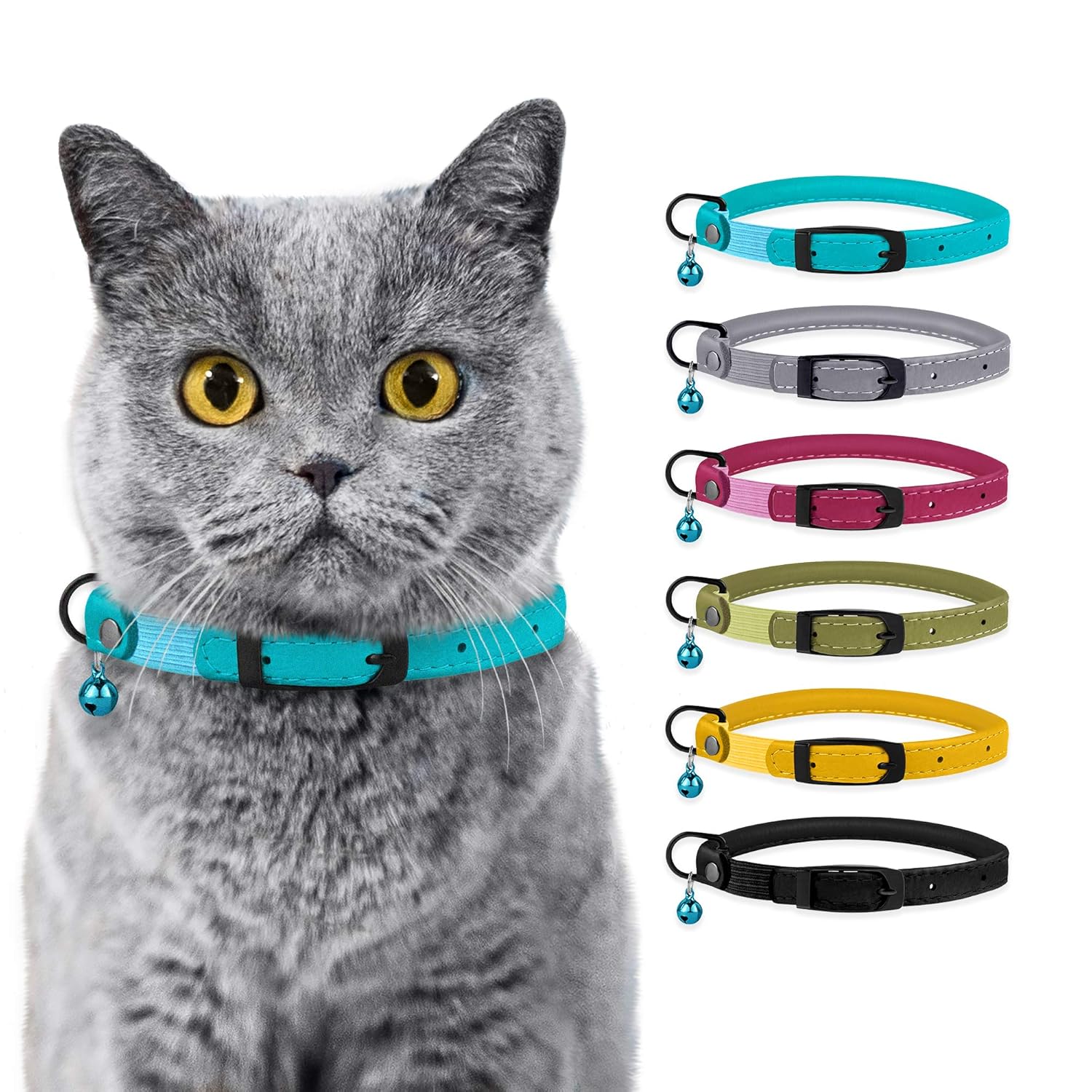 small kitten collars
