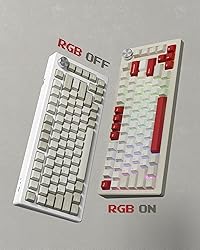 Womier Keycaps, Custom PBT Doubleshot Keycaps 60 65