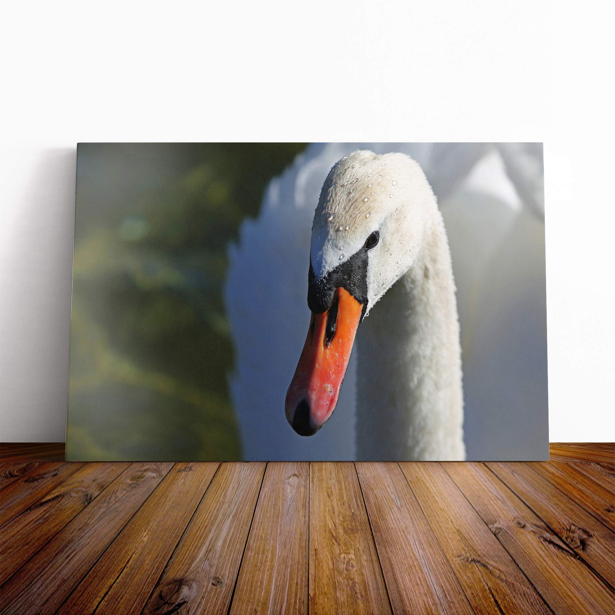 White Swan Canvas Print | Gallery Wrapped 30mm Frame Wall Art | 20x14 inches | Ready to Hang | Modern Bird Picture | Living Room Bedroom Lounge Office