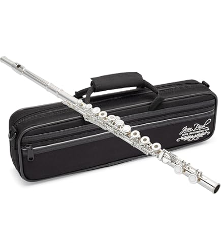 Amazon.com: Gemeinhardt 2SP Flute with Straight Headjoint