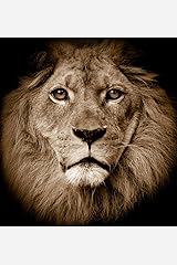 Télécharger gratuitement Images Sylvie Manso actualisé par