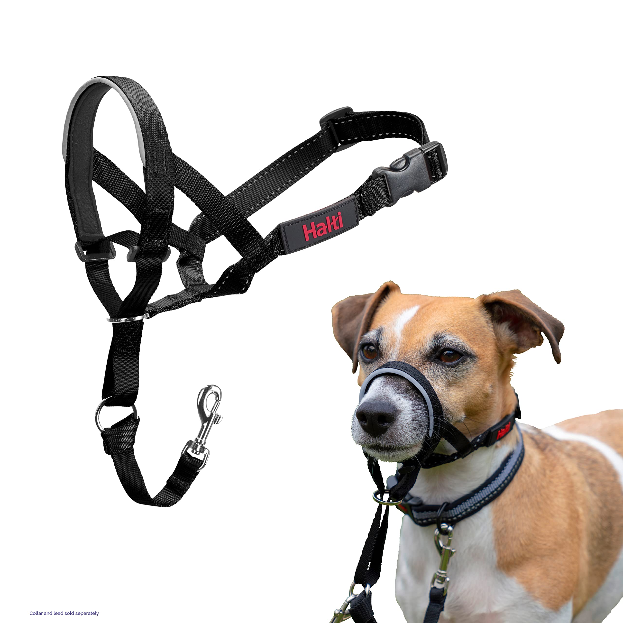 Halti Headcollar - Stop Your Dog Pulling on the Lead. Adjustable, Reflective and Lightweight, with Padded Nose Band. Dog Training Anti-Pull Collar for Small Dogs (Size 0, Black)