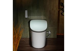 WOODBRIDGE Smart Toilet with Auto Open/Close,1000g MaP Flush Score,Foam Shield,Foot Sensor, Movement Drying,Auto Flush,ADA Height,Blackout Flush,Heated Seat,One Piece Toilet with Tank Built in