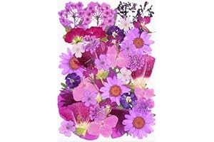 40Pcs Purple Dried Pressed Flowers for Crafts,Xinxinran Dry Flowers Kit for Resin Molds,Epoxy Resin Accessories,Bookmark,Nails, Jewelry Molds,Candle Making Supplies,Soap,Frame,Cakes