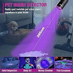 EverBrite Rechargeable Pen Flashlight with UV Light