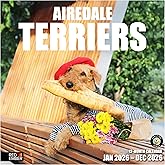 RED EMBER Airedale Terriers 2026 Wall Calendar 12 Month | 12" x 24" Open | Thick & Sturdy Paper | Holiday Gift | Cute Puppy Dog Calendar 2026