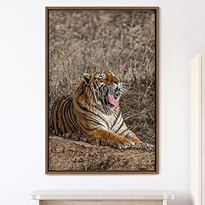 signwin Framed Canvas Wall Art Tiger Animals Chic...