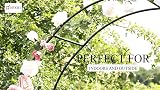 DIVCHI Black Metal Garden Arbour Arch Steel Frame 2.4m Centre Height view 6