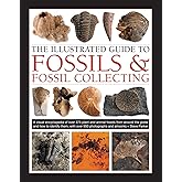 The Illustrated Guide to Fossils & Fossil Collecting: A Reference Guide to Over 375 Plant and Animal Fossils from Around the Globe and How to Identify Them, with Over 950 Photographs and Artworks