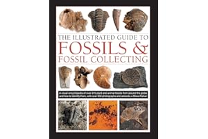 The Illustrated Guide to Fossils & Fossil Collecting: A Reference Guide to Over 375 Plant and Animal Fossils from Around the 