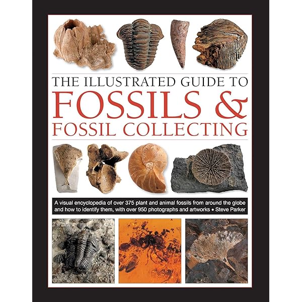 Fossils: The Key to the Past: Fortey, Richard: 9781501700538