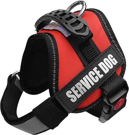amazon service animal vest