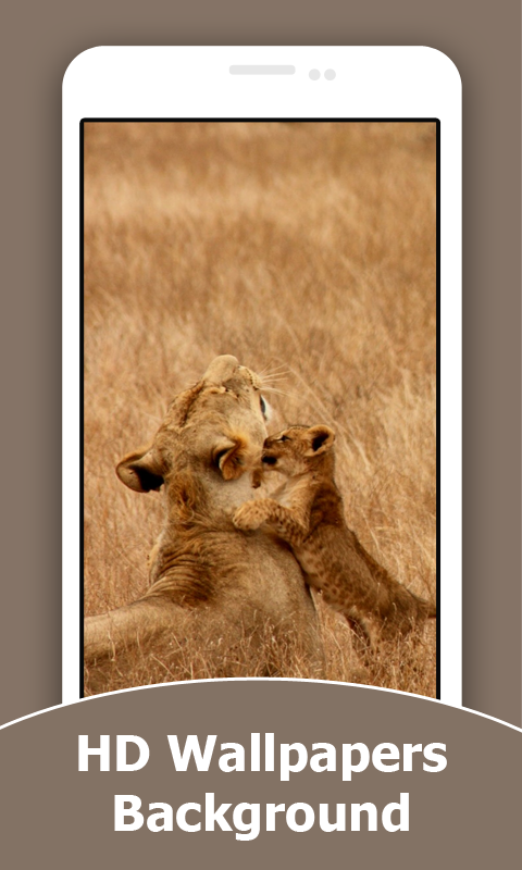 Wild Animals Cub HD Wallpapers - Thumbnail 3