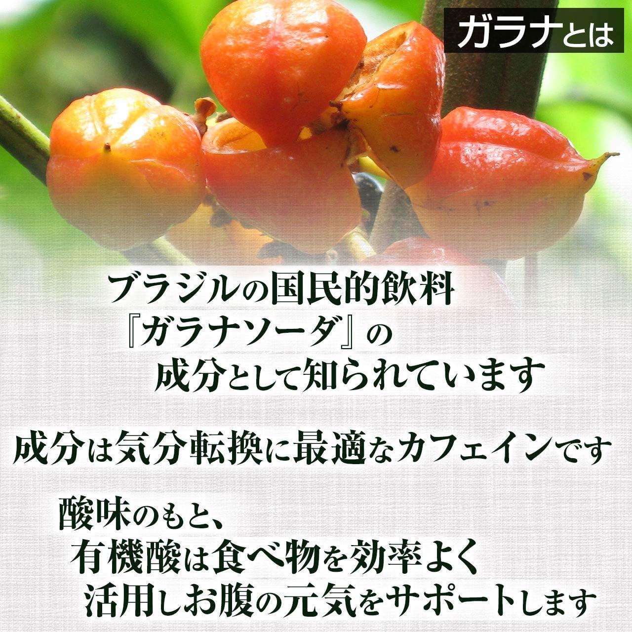Amazon ガラナ粉末 50g 天然ピュア原料 無添加 健康食品 がらな 天然の健康食品原料 健康市場 サプリメント ビタミン