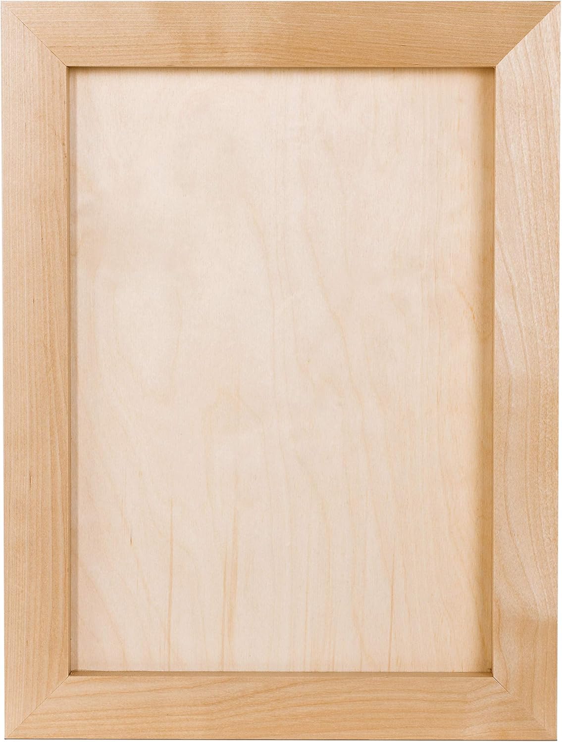 DIY and Woodburning Projects Arts & Crafts 12 x 16 inch Pixy Canvas