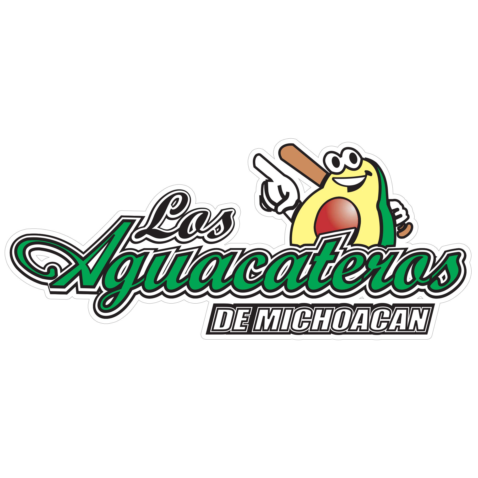 Michoacan Baseball Team