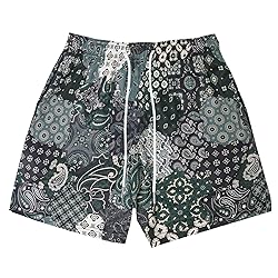 DIOTSR Mens Mesh Paisley Shorts, Casual Retro