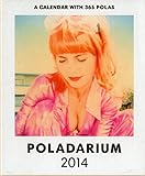 Poladarium 2014: Everyday a New Polaroid