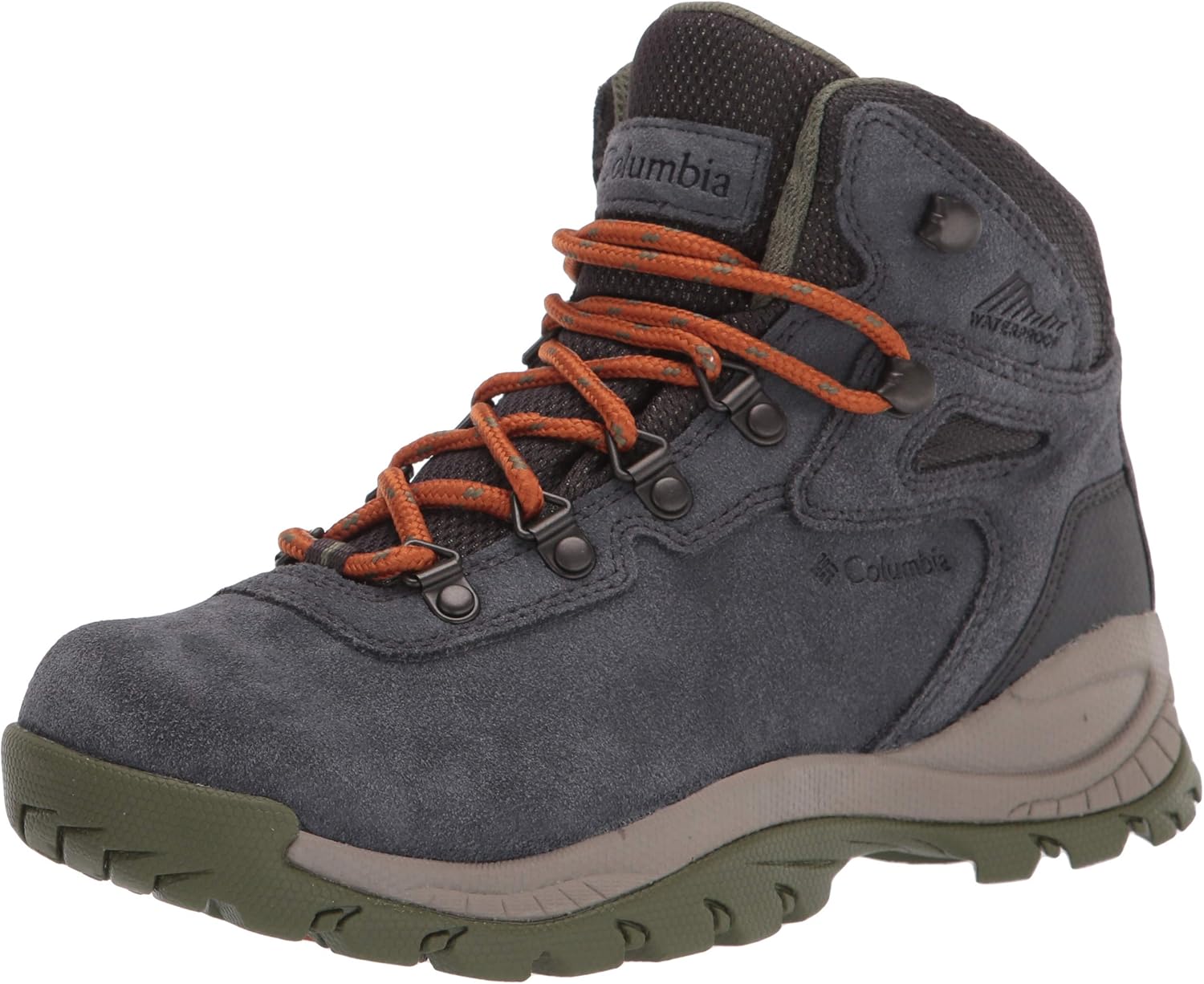 women's newton ridge plus waterproof hiking boot