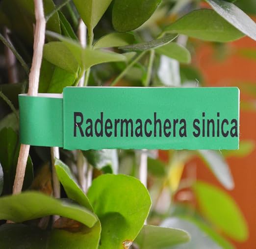 mr-label Printable Planta Label - Mejor para usuarios de Heavy ...