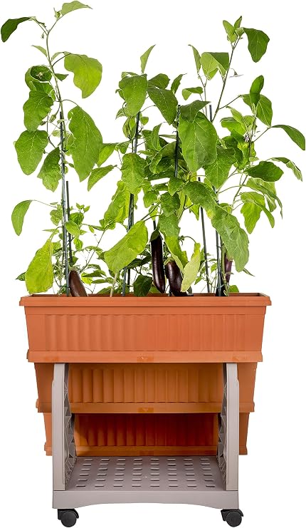 Bama M262993 - Mini huerto Urbano Terracota: Amazon.es: Jardín