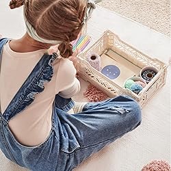 Collapsible Storage Box, Foldable Crate Organizer