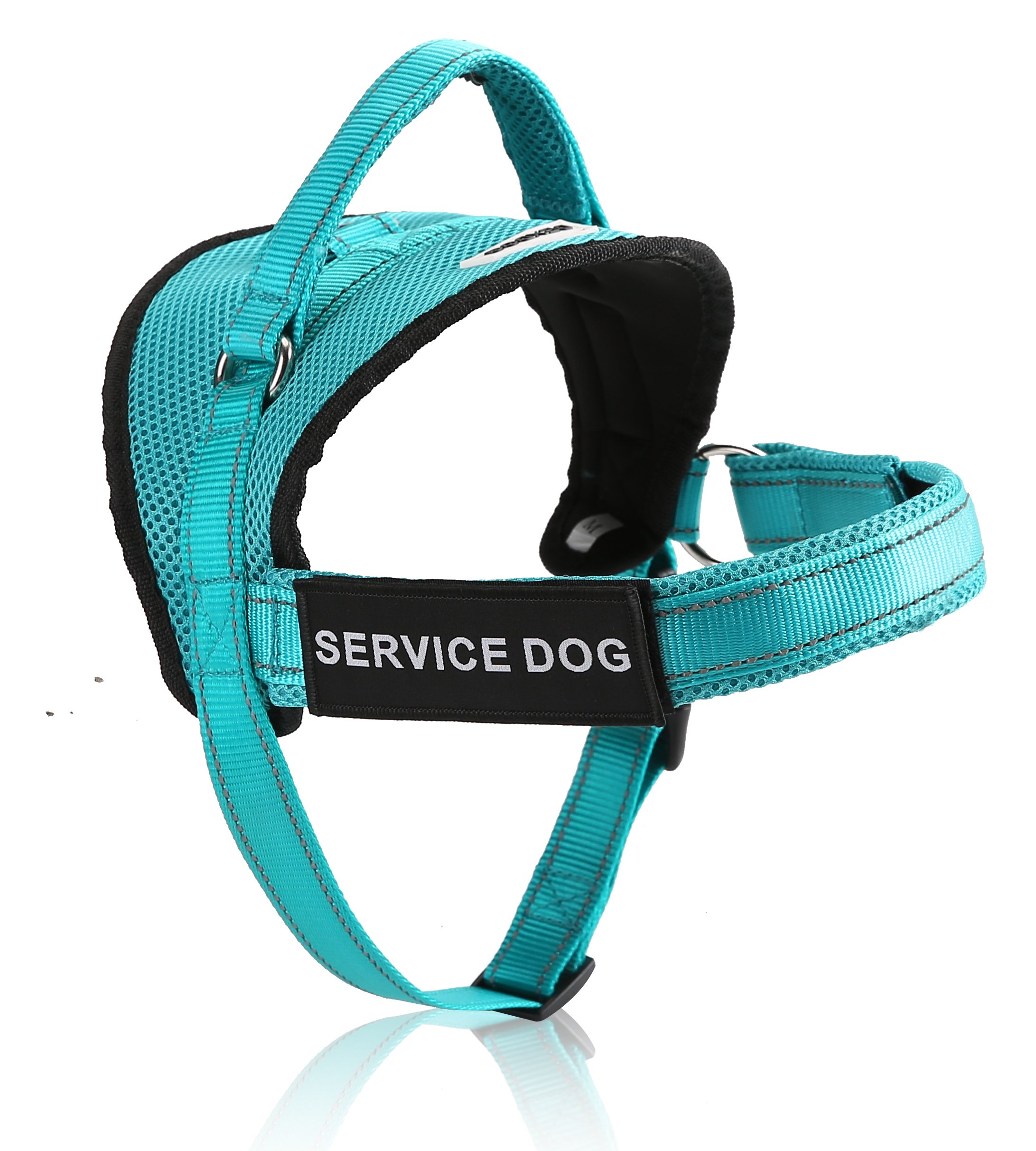 dexdog harness