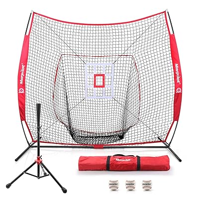 baseball tee and net