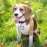 EDSG Personalised Dog Tag Pink Bone Stainless Steel Engraved ID Tag UK view 5