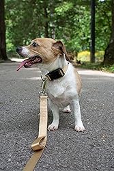 Country Brook Petz - Deluxe Nylon Dog Leash with
