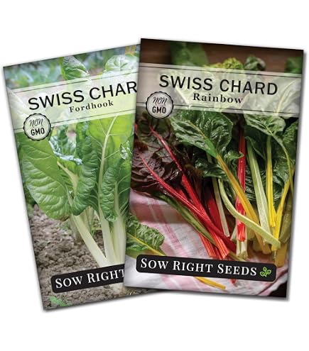 thumbnail image 2 of 1/4 Lb Rainbow Swiss Chard Seeds – Everwilde Farms – Mylar Pack – Non-GMO – 2024 Crop 2 of 3